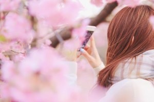 QT（キューティー） れい