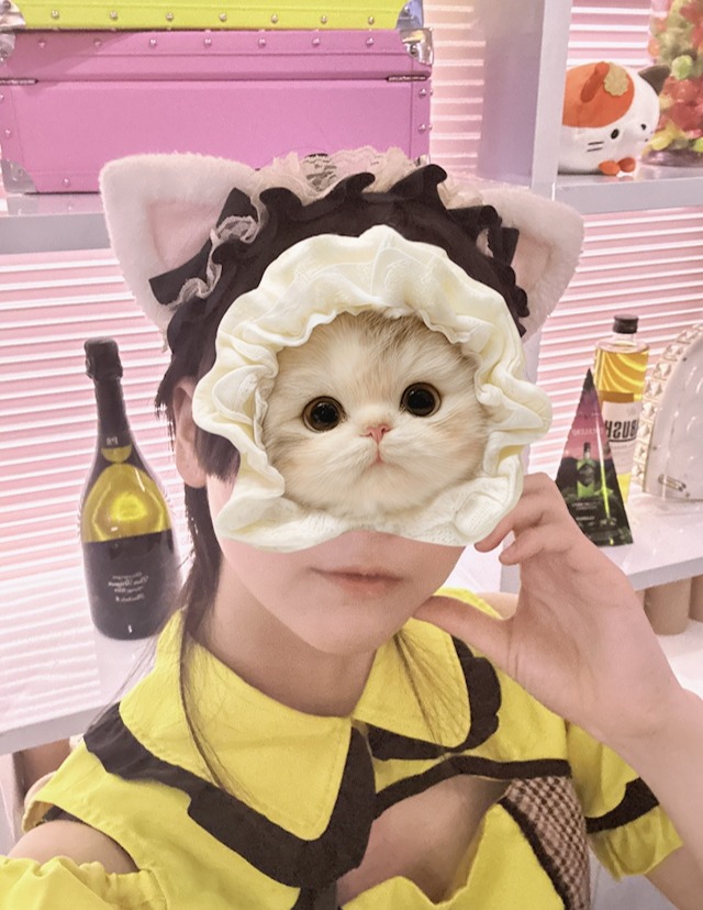 #ねこはじ - ねこはじめました - アイラ