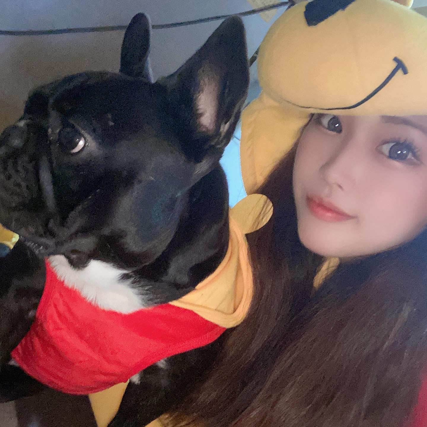 狡噛 雅