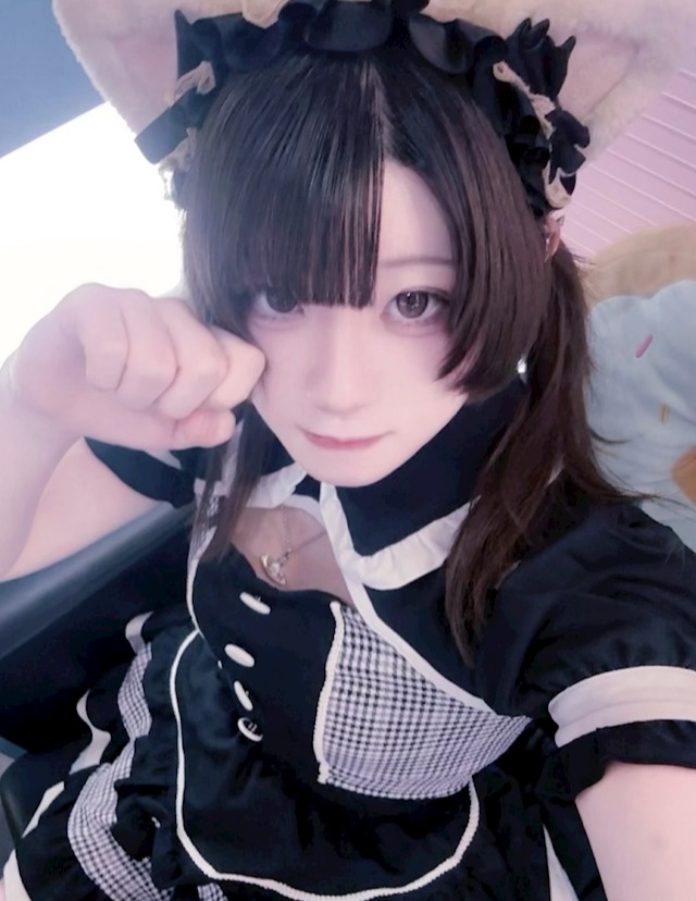 #ねこはじ - ねこはじめました - ろあ