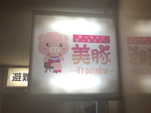 ぽっちゃりガールズブー 美豚(びとん)