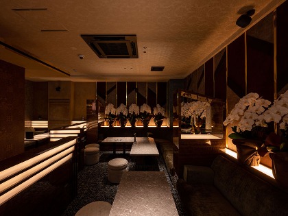 Levo（レボ）