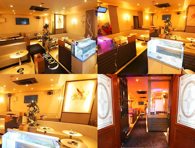 Club Cecile(セシル)
