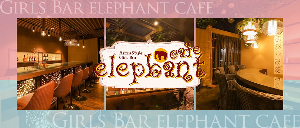 Girls Bar elephant cafe（エレファントカフェ）プリンス 札幌【公式