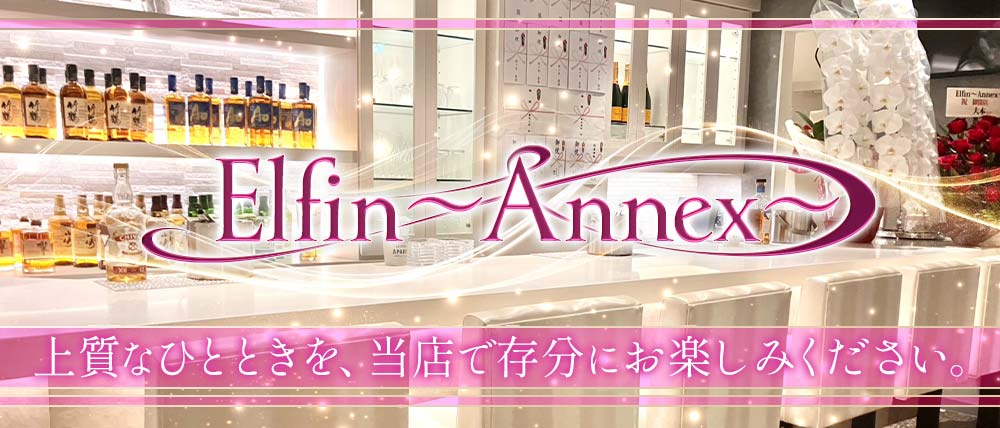 Elfin~Annex~(エルフィン アネックス)の外観