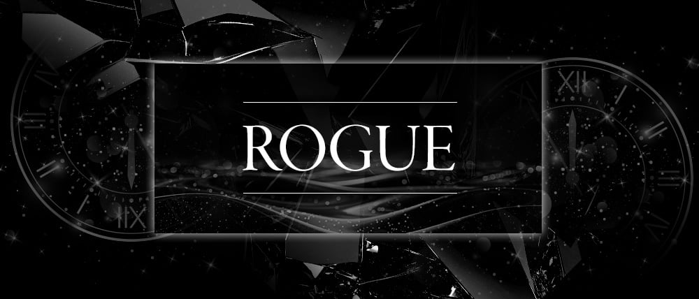 ROGUE(ローグ)の外観