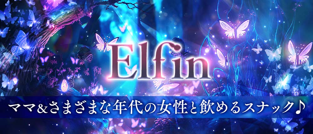 Elfin(エルフィン)の外観
